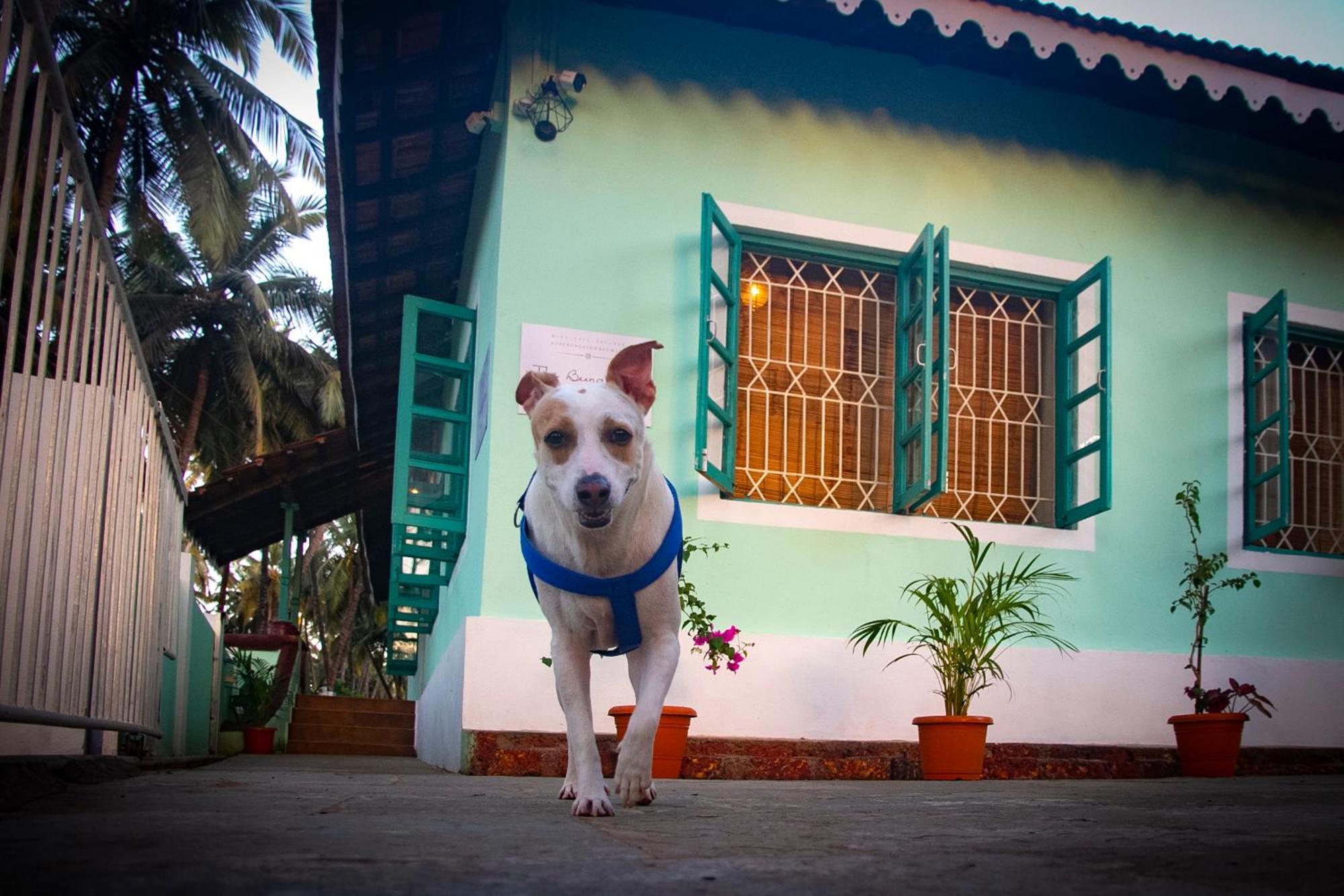 The Bungalow Bogmalo An 1880 Indo Portuguese Heritage Beach Villa South Goa Exterior foto
