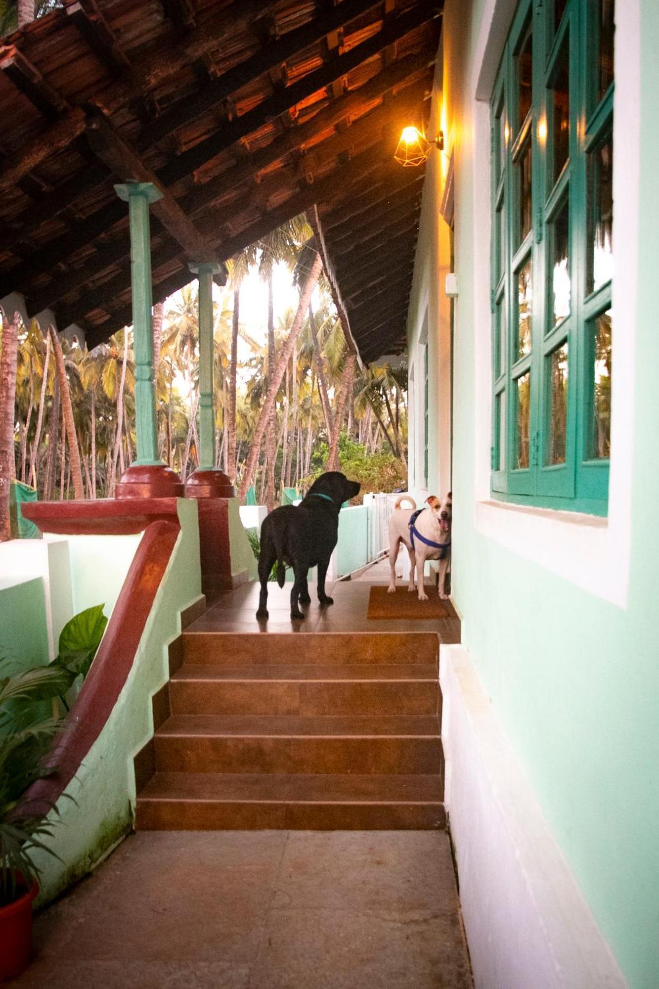 The Bungalow Bogmalo An 1880 Indo Portuguese Heritage Beach Villa South Goa Exterior foto
